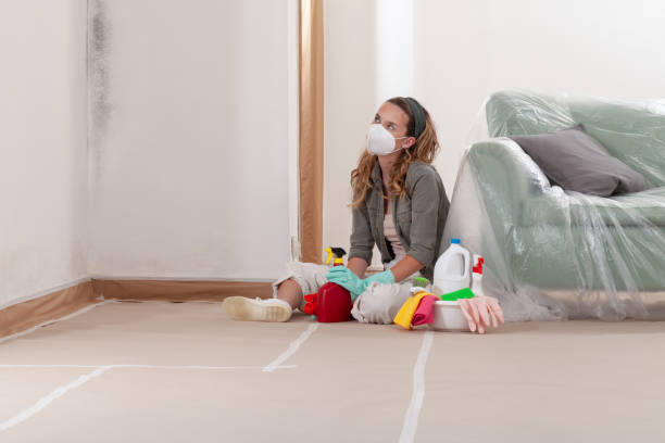 Reliable Crawl Space Mold Removal contractor in Royal Oak, MI by WQB Mold Removal